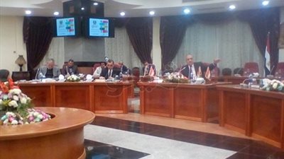 وزير التنمية المحلية: 40% من المواليد في صعيد مصر