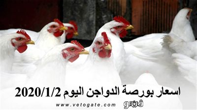 اسعار بورصة الدواجن اليوم 2020/1/2