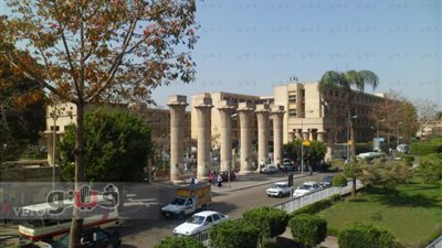 عميدة «بنات عين شمس»: زواج الأقارب يسبب الهيموفيليا