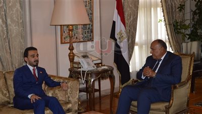 وزير الخارجية: مصر تدعم وحدة العراق وسيادته على أراضيه