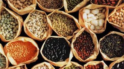 9 جنيهات لكيلو الفول بالغربية.. اليوم