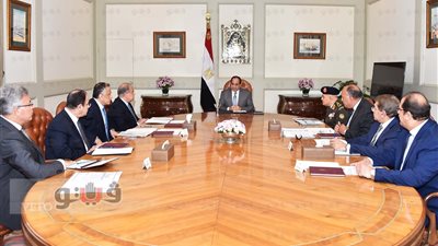 السيسي يبحث توفير فرص العمل للشباب والتصدي للتعديات على الأراضي