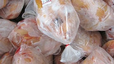 «منتجي الدواجن»: توريد 4 آلاف طن للتموين بسعر 27 جنيها للكيلو