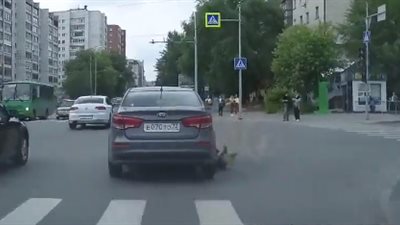 كلب يقفز من سيارة متحركة مخاطرا بحياته (فيديو)