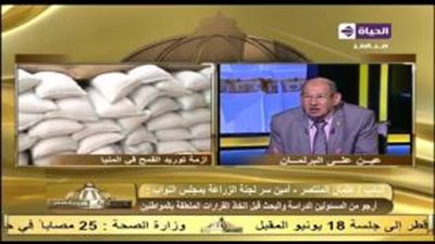 بالفيديو.. «لجنة الزراعة»: قرارات «التموين» و«الزراعة» غير مدروسة