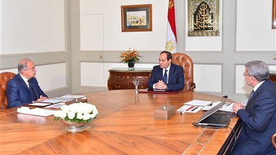 السيسي يكلف الحكومة بالتغلب على التحديات وتوفير واقع أفضل للمواطنين