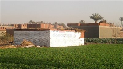 خبير محليات: مصر تفقد 3.5 أفدنة زراعية كل ساعة