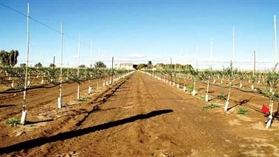 خطوة جديدة نحو التنمية.. «الريف المصري» تضع آليات بيع الأراضي للجادين دون قرعة... 19 ألف و200 جنيه سعر الفدان في «المغرة».. وحفر البئر و25% من قيمة التعاقد أبرز الشروط