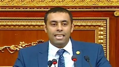 برلماني: قرار تصفية القومية للأسمنت كارثي