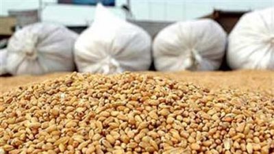 مخزون القمح بميناء الإسكندرية يصل إلى 922 ألف طن