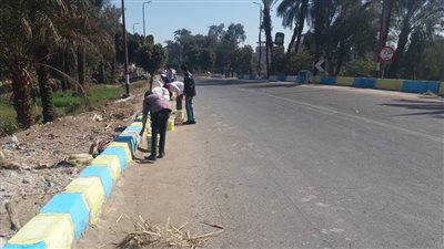 مبادرة لتجميل وتطوير مدينة دشنا في قنا (صور)