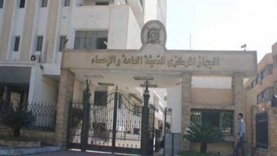 التعبئة والإحصاء: 51.8% ارتفاعًا في صادرات القطن المصري خلال 3 أشهر