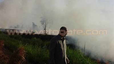لجنة للتصدي لظاهرة حرق «قش الأرز» في الدقهلية