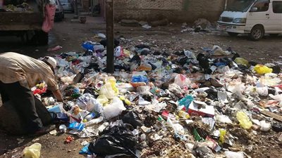 بالصور.. رفع 25 طن قمامة في حملة بشرق المنصورة