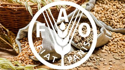 اعتماد لائحة برلمانية أوروبية حول الوضع باليمن.. غدا