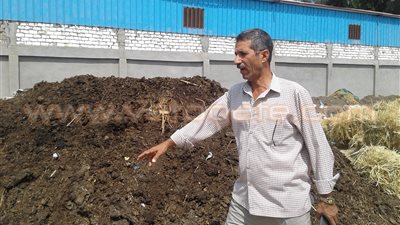 تحرير 740 محضرا لحرق قش الأرز في كفر الشيخ