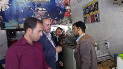 إعدام ربع طن أسماك فاسدة داخل محل شهير بالقليوبية (صور)