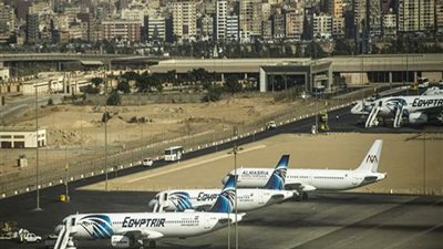 إزالة الأشجار بمهبط مطار القاهرة لخطورتها على السلامة الجوية