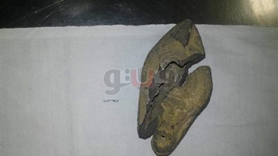 ضبط 13 محاولة تهريب عملات أثرية ومخدرات بمطار القاهرة (صور)