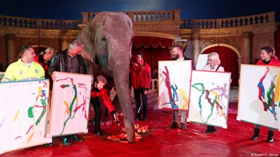 أنثى فيل موهوبة ترسم لوحات تجريدية بـ 150 دولارا