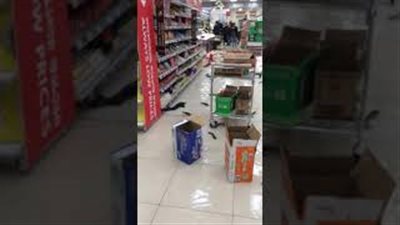 أسماك حية تسبح في أرضية سوبر ماركت (فيديو)