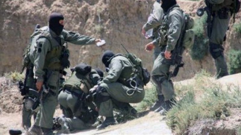 صورة ارشيفيه