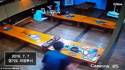 بالفيديو والصور.. خنزير يقتحم مطعما ويثير ذعر رواده