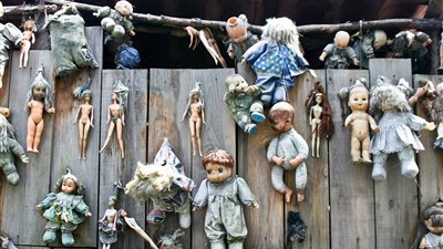 بالفيديو والصور.. 