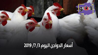 بورصة الدواجن اليوم | اسعار الدواجن اليوم 3/ 7/ 2019