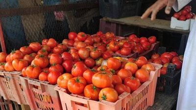 تباين أسعار الخضراوات بالعبور.. والطماطم تسجل 8 جنيهات