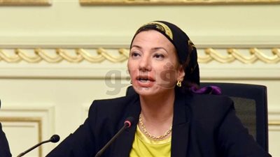 «البيئة» تحدد اشتراطات صيد السمان البري والشرشير الصيفي والأوز المصري