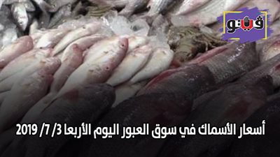 اسعار السمك اليوم | اسعار الأسماك في سوق العبور اليوم الأربعاء 3/ 7/ 2019