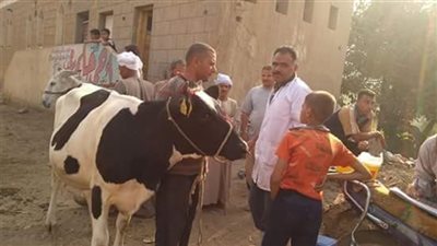 تحصين 74 حالة رأس ماشية بقرية طوخ الخيل في المنيا