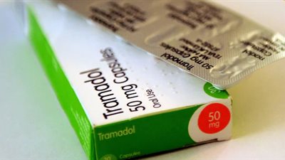 شقيق البريطانية المحتجزة بمصر يعترف: ارتكبت خطأ بريئا