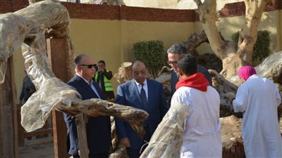 وزيرا التنمية المحلية والآثار يتابعان تطوير شجرة مريم 