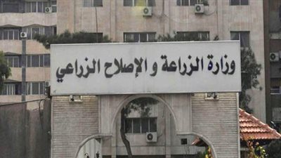 وفد من الزراعة يتوجه إلى صربيا لبحث جودة القمح وإمكانية استيراده