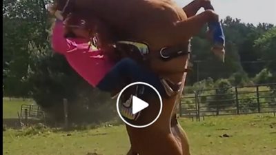 سقوط مروع لفتاة من أعلى ظهر حصان (فيديو)