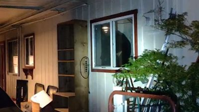 دب يقتحم منزل رجل ليلا (فيديو)