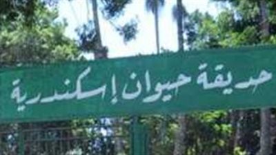 5 ولادات جديدة في حديقة حيوان الإسكندرية قبل حلول عيد الأضحى