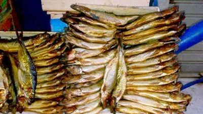 ضبط رنجة وسجق ودواجن فاسدة بمصر الجديدة