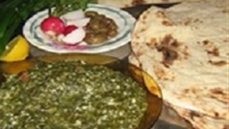 نبات الخٌبيزة 