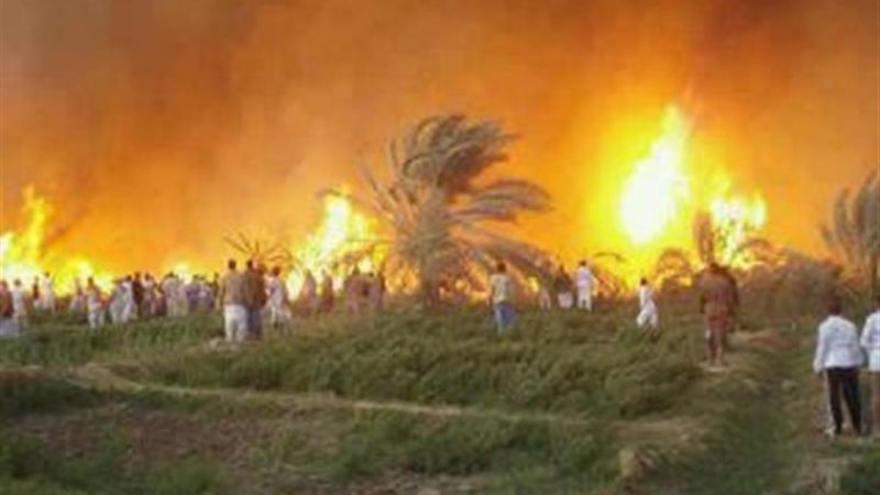صورة ارشيفية
