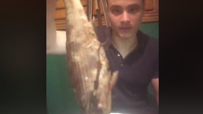 شاب يسخر من متناولي الفسيخ على طريقته الخاصة (فيديو)