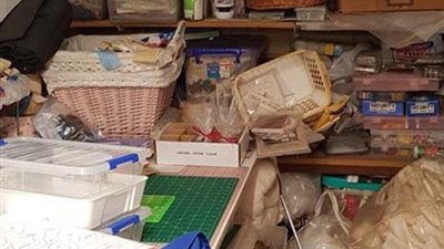 هل يمكنك العثور على الثعبان في هذه الصورة؟