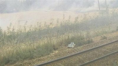 رصد 10 حالات لحرق قش الأرز بكفر الشيخ