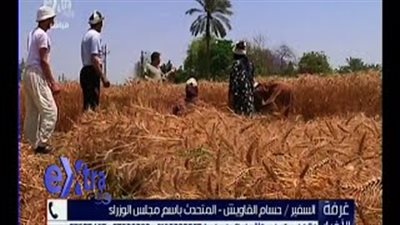 بالفيديو.. «الوزراء» يكشف خطة التعامل مع مشكلة توريد القمح