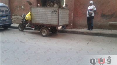 بالصور.. حملة نظافة بلجنة «خليل أغا» في باب الشعرية