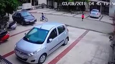 لحظة هجوم كلب شرس على طفلة (فيديو)