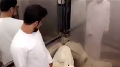 رد فعل شاب خليجي لحظة هجوم دب عليه داخل المصعد (فيديو)