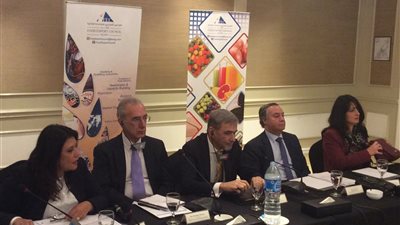 السفير البرازيلي: عدم تكافؤ الميزان التجاري بين مصر ودول الميركسور